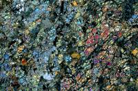 Harzburgite LPA x3,5